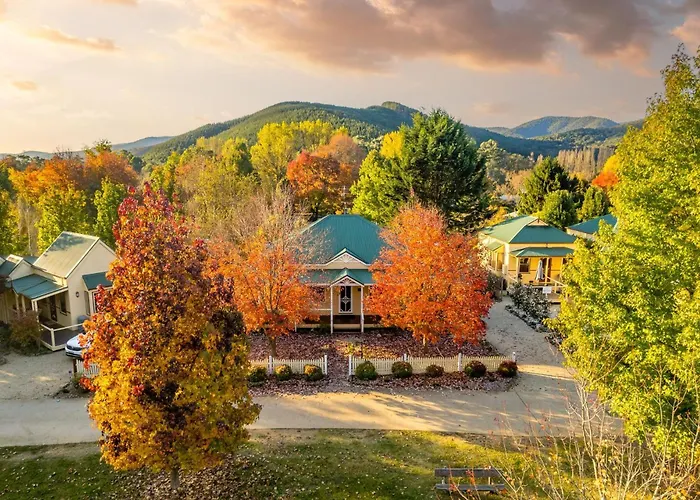 Autumn Beauty - Mountain View Cottage 3