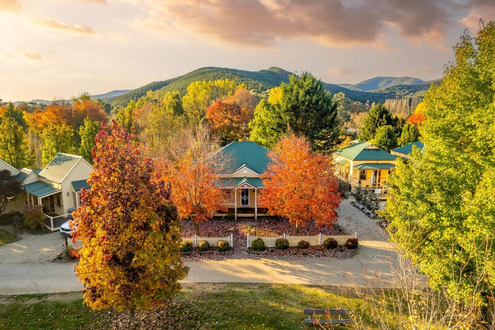 Autumn Beauty - Mountain View 3 Bright