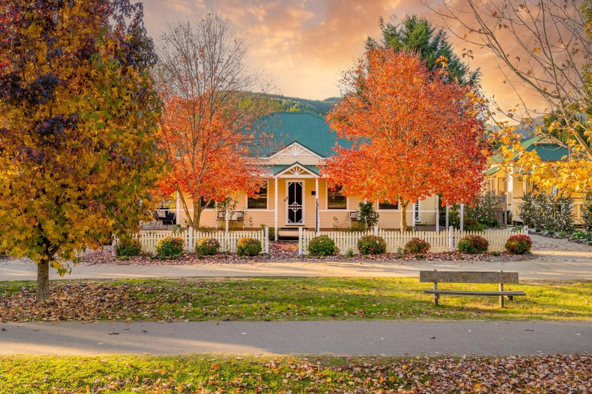 Autumn Beauty - Mountain View 3