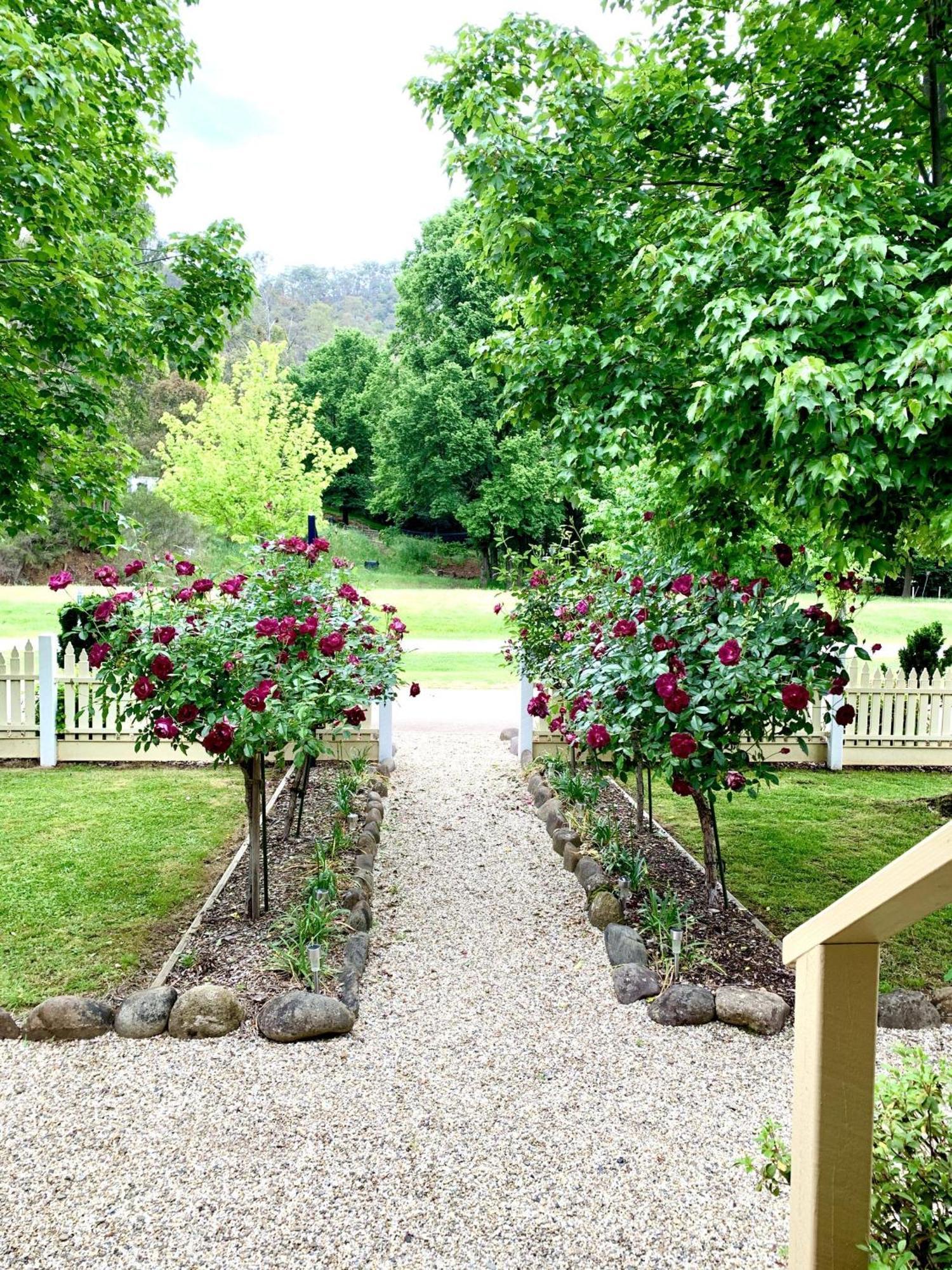 Holiday home Autumn Beauty - Mountain View 3 *
